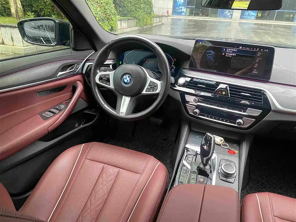BMW 5 Series New Energy 2022