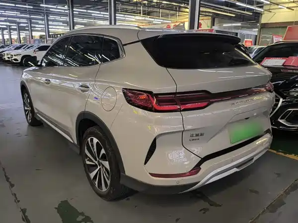 BYD Song PLUS New Energy 2024