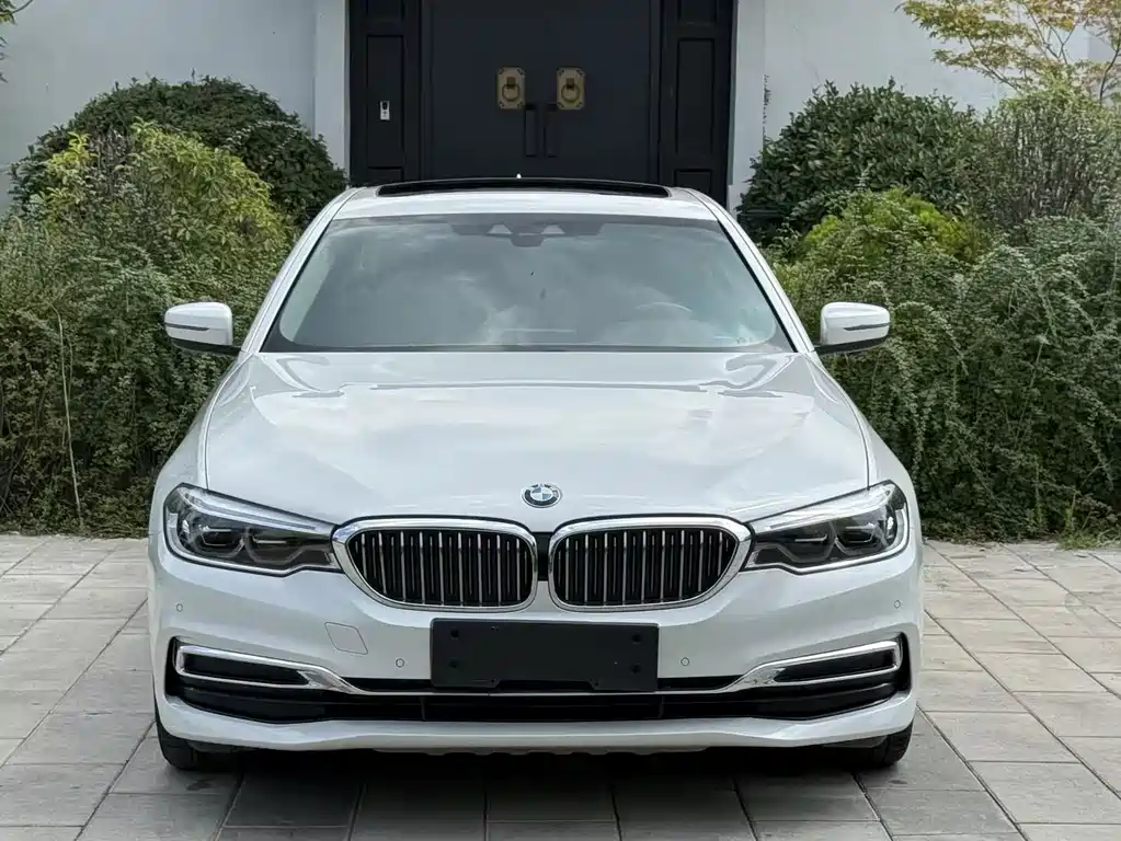 BMW 5 Series New Energy 2019 — фото 1