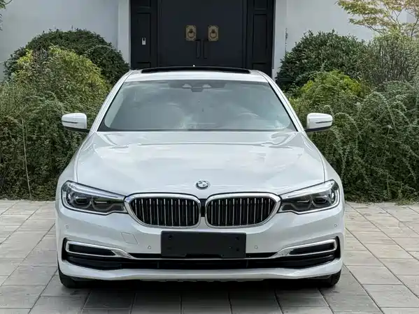 BMW 5 Series New Energy 2019
