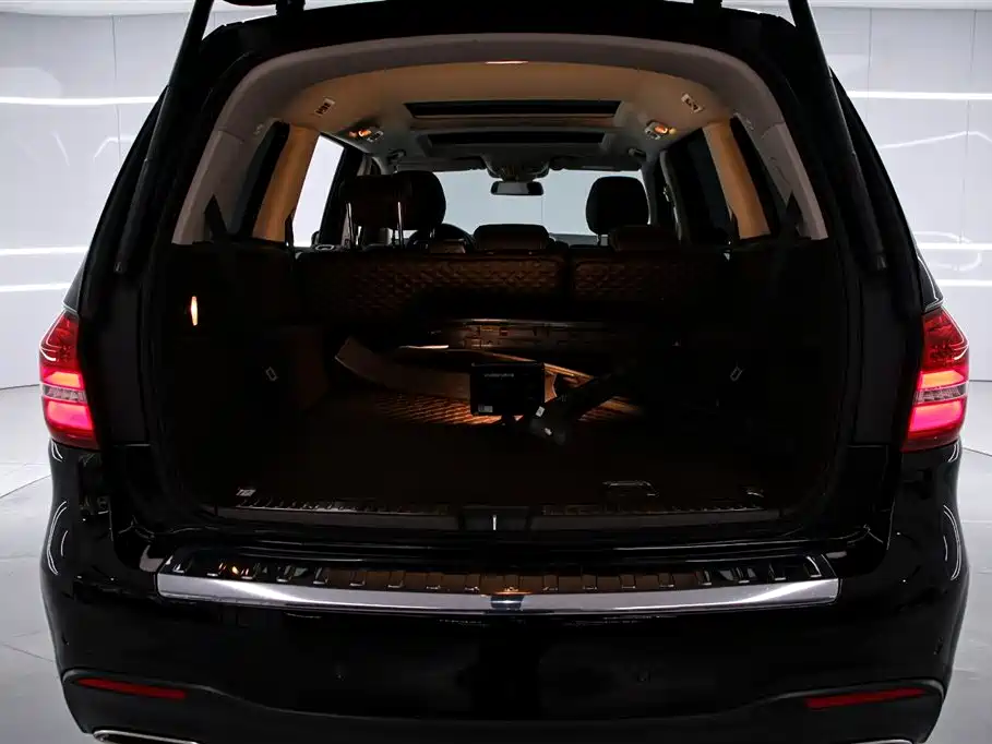 Mercedes-Benz GLS 2018 — фото 15
