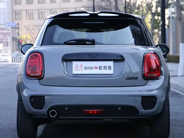 MINI MINI 2021