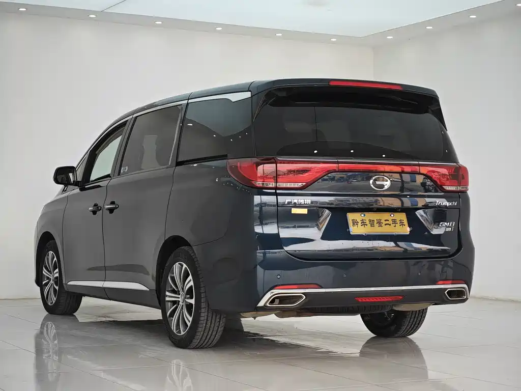 GAC Motor Trumpchi M8 2019 — фото 6