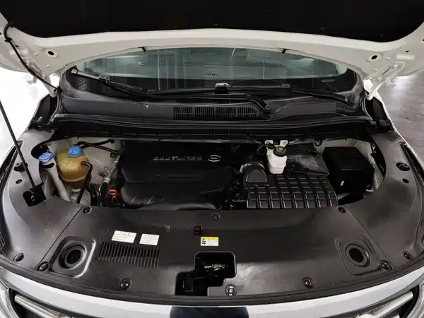 GAC Trumpchi M8 2020