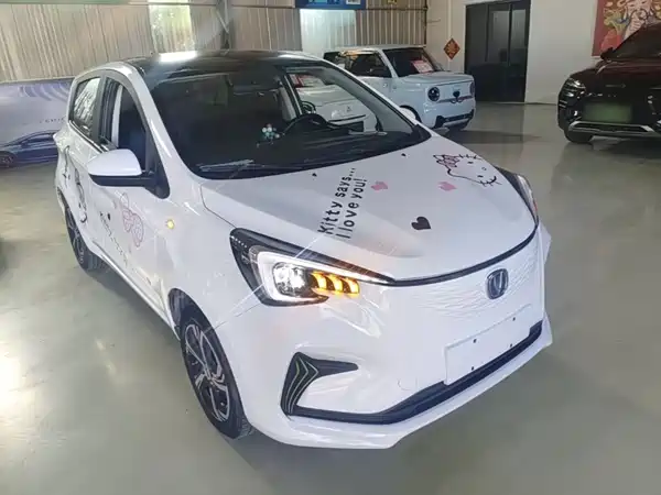 Changan Benben E-Star 2020