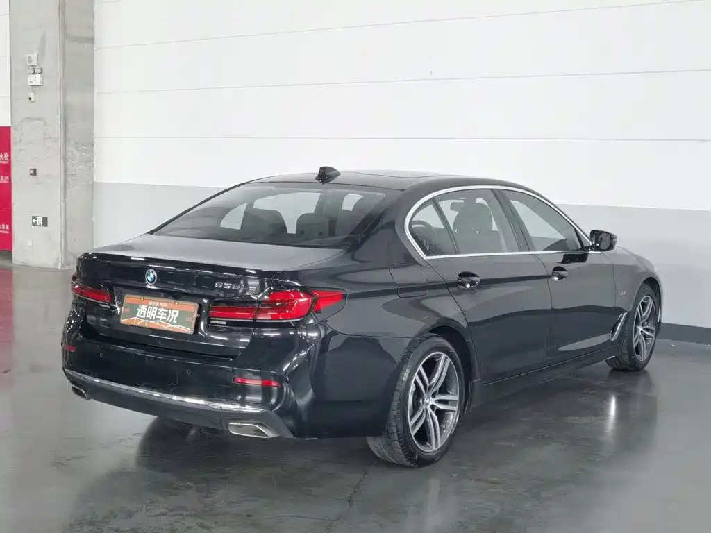 BMW 5 Series New Energy 2021