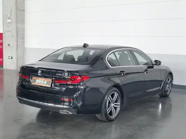 BMW 5 Series New Energy 2021