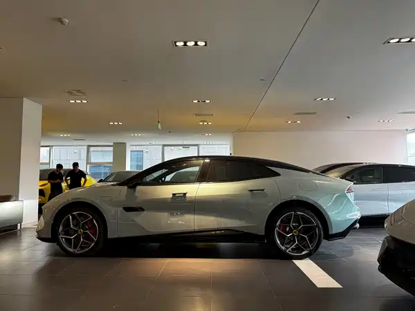 Lotus EMEYA 2026