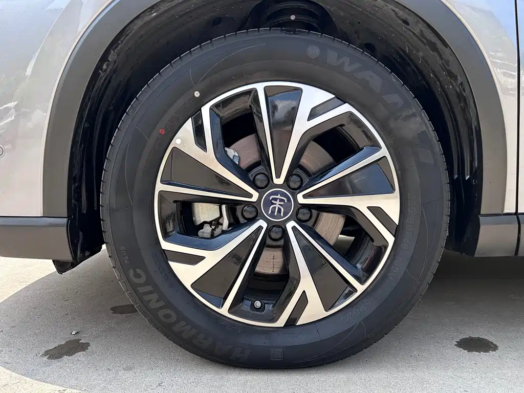 BYD Song Pro New Energy 2025 — фото 11