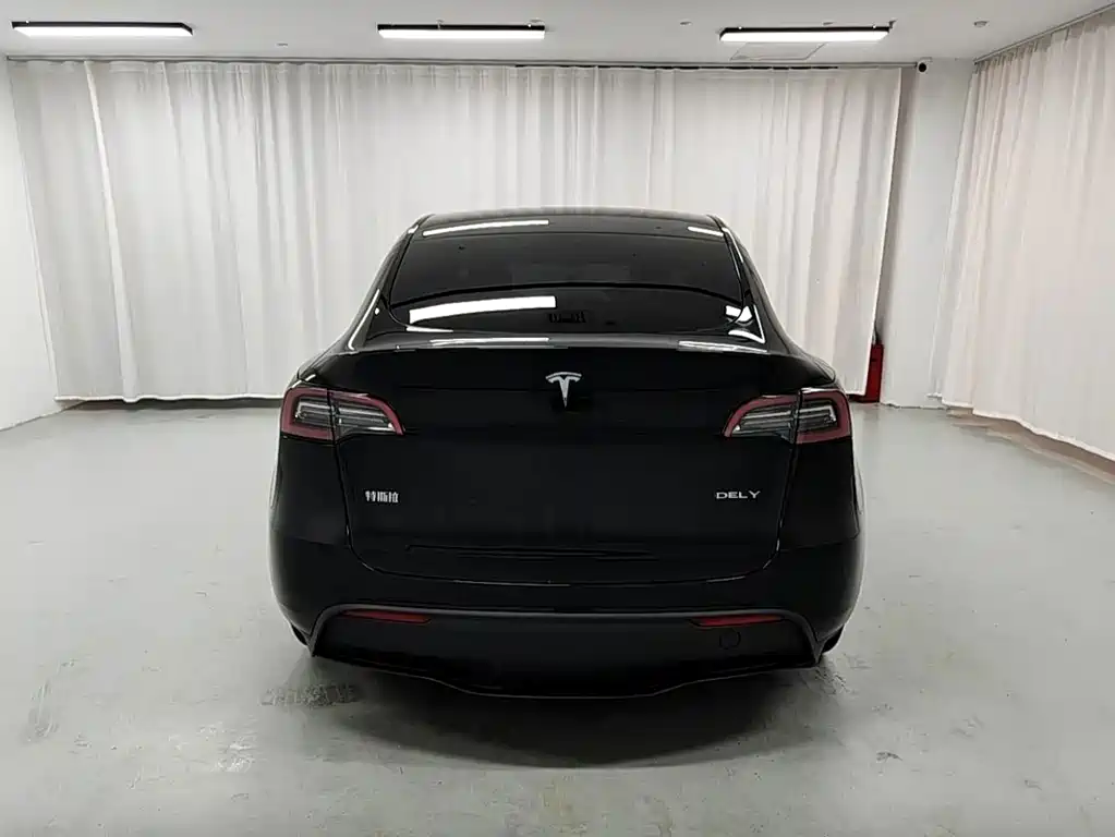Tesla Model Y 2023 — фото 6