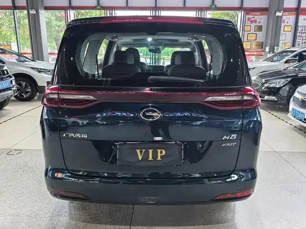 GAC Trumpchi M6 2021
