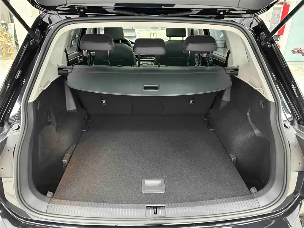 Volkswagen Tiguan L 2023 — фото 16