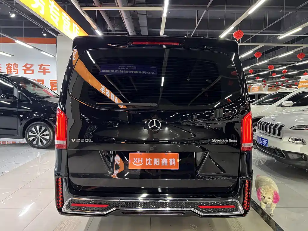 Mercedes-Benz Vito 2022 — фото 24