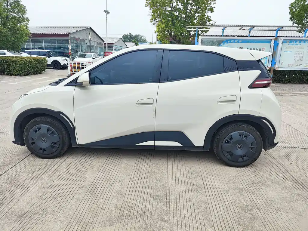 BYD Seagull 2024