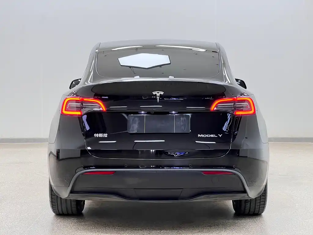 Tesla Model Y 2023 — фото 6