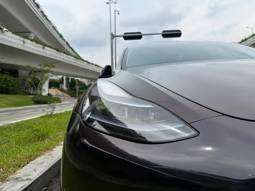 Tesla Model Y 2023 — фото 10