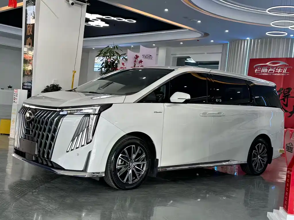 GAC Motor Trumpchi M8 2023 — фото 11