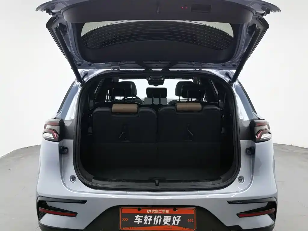BYD Tang New Energy 2023 — фото 16