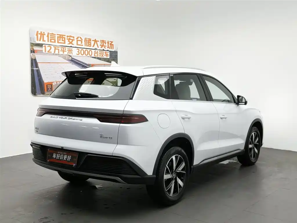 BYD Pro New Energy 2024