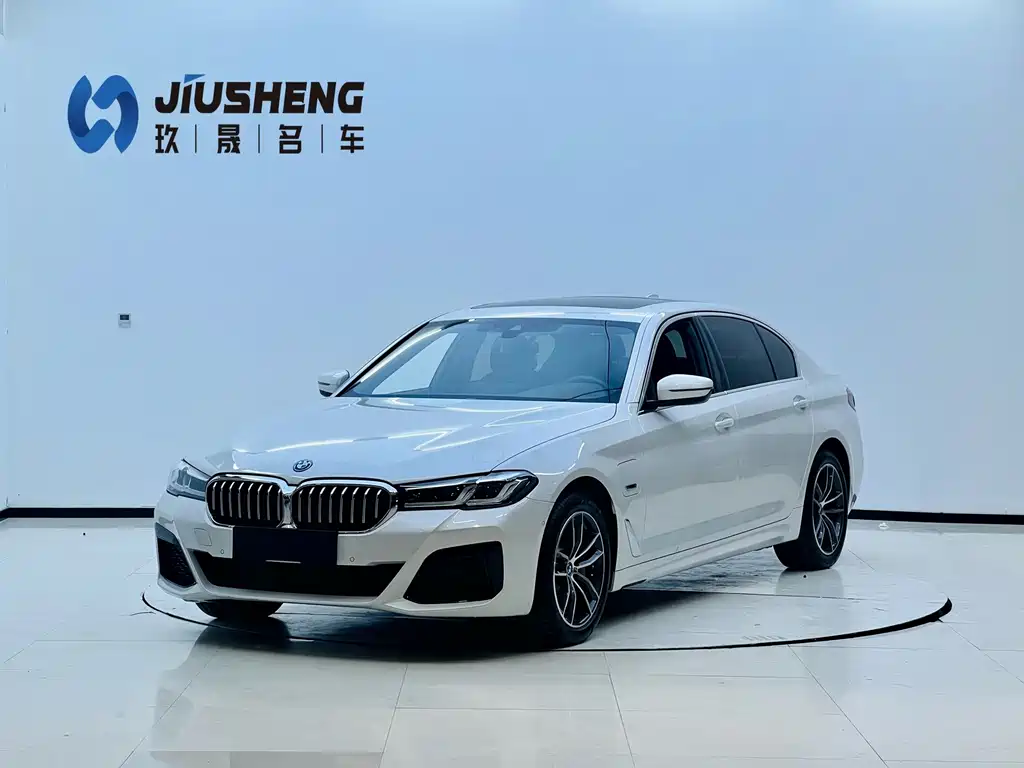 BMW 5 Series New Energy 2022