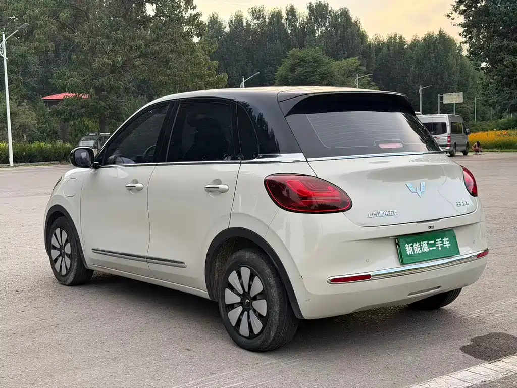 Wuling Bingo 2024