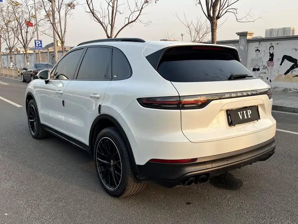 Porsche Cayenne 2019 — фото 14