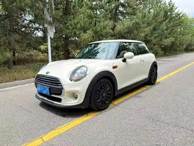 MINI MINI 2017
