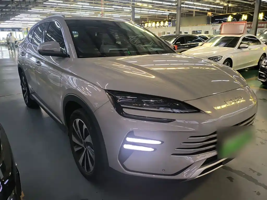 BYD Song PLUS New Energy 2024 — фото 4