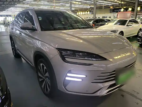 BYD Song PLUS New Energy 2024