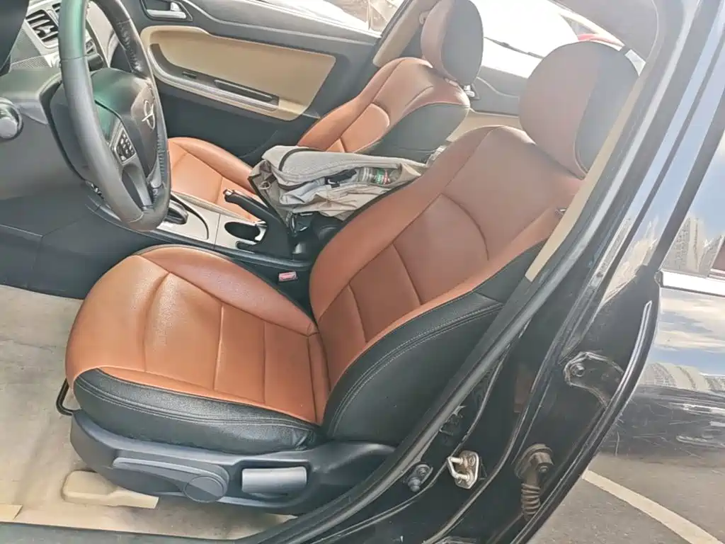 Haima Vanda Electric 2015 — фото 15