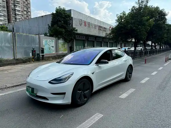 Tesla Model 3 2019