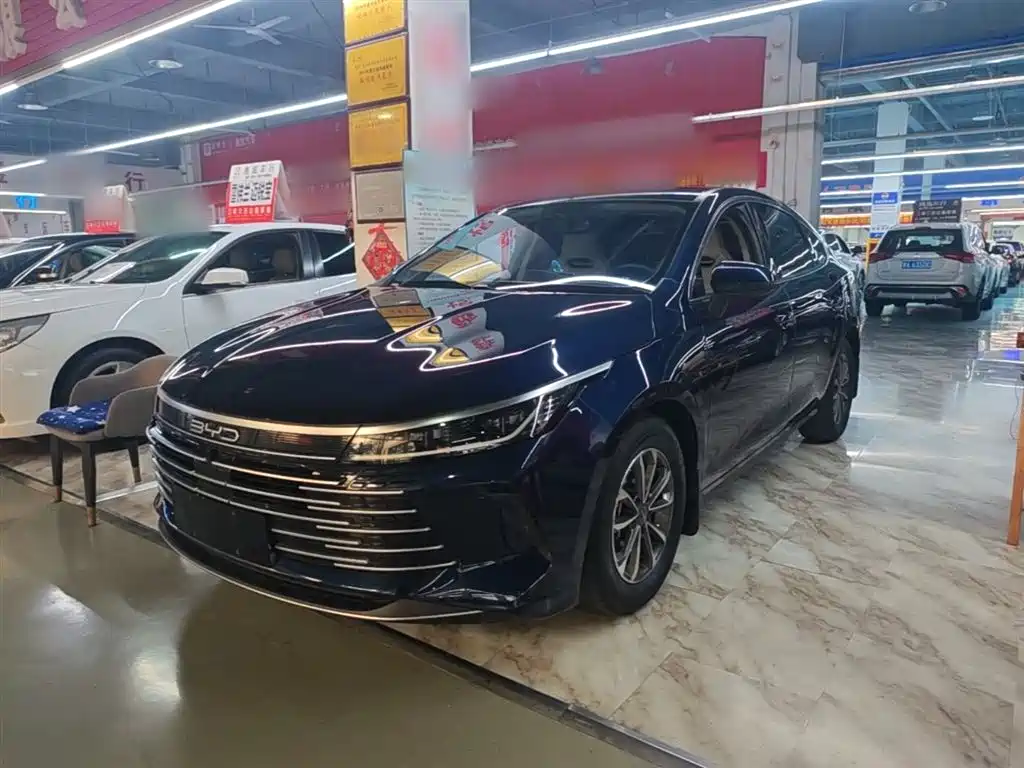 BYD Destroyer 05 2024 — фото 1