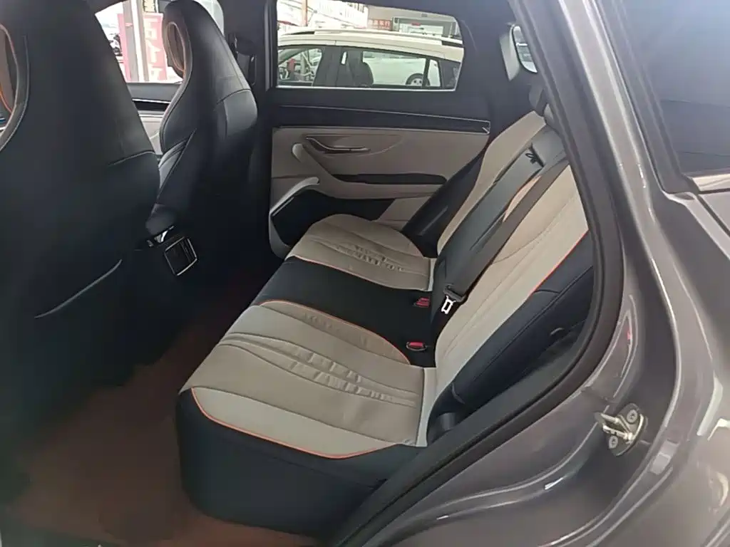 BYD Song PLUS New Energy 2023 — фото 17