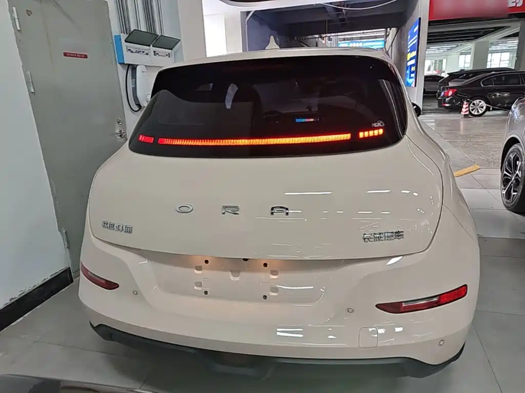 Ora Good Cat 2021