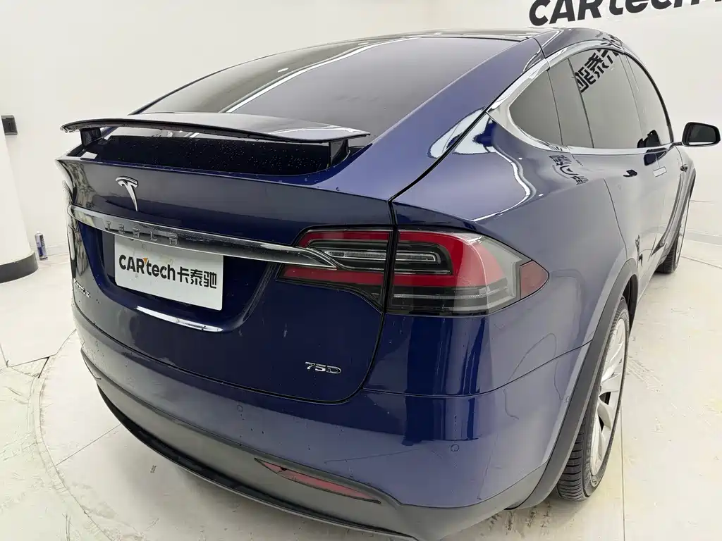 Tesla Model X 2018 — фото 22