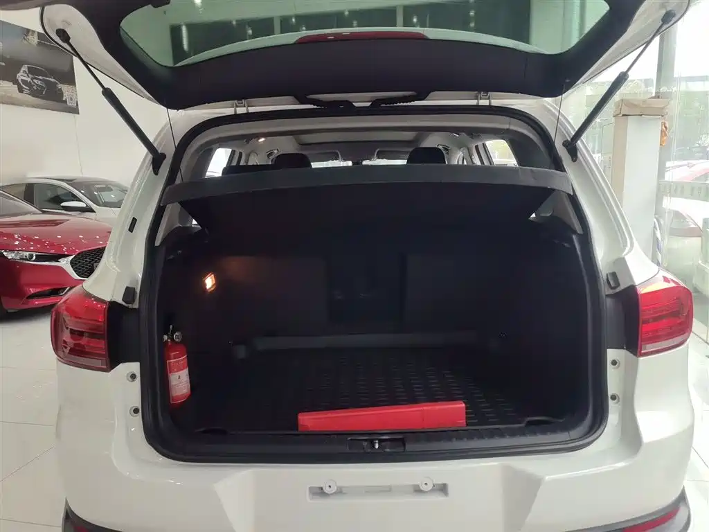 Volkswagen Tiguan 2015 — фото 19