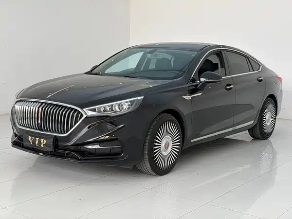 Hongqi H5 2020