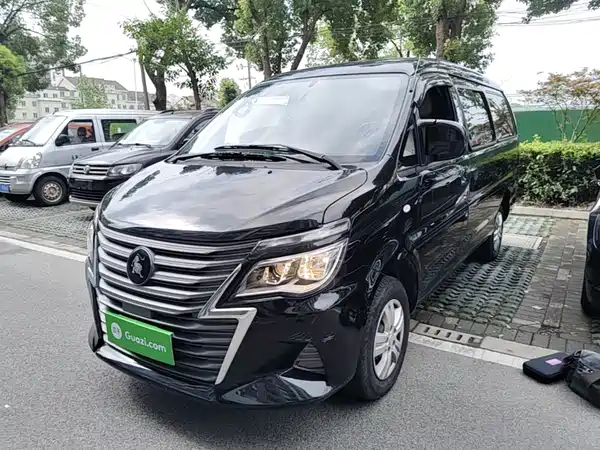 Dongfeng Lingzhi 2024