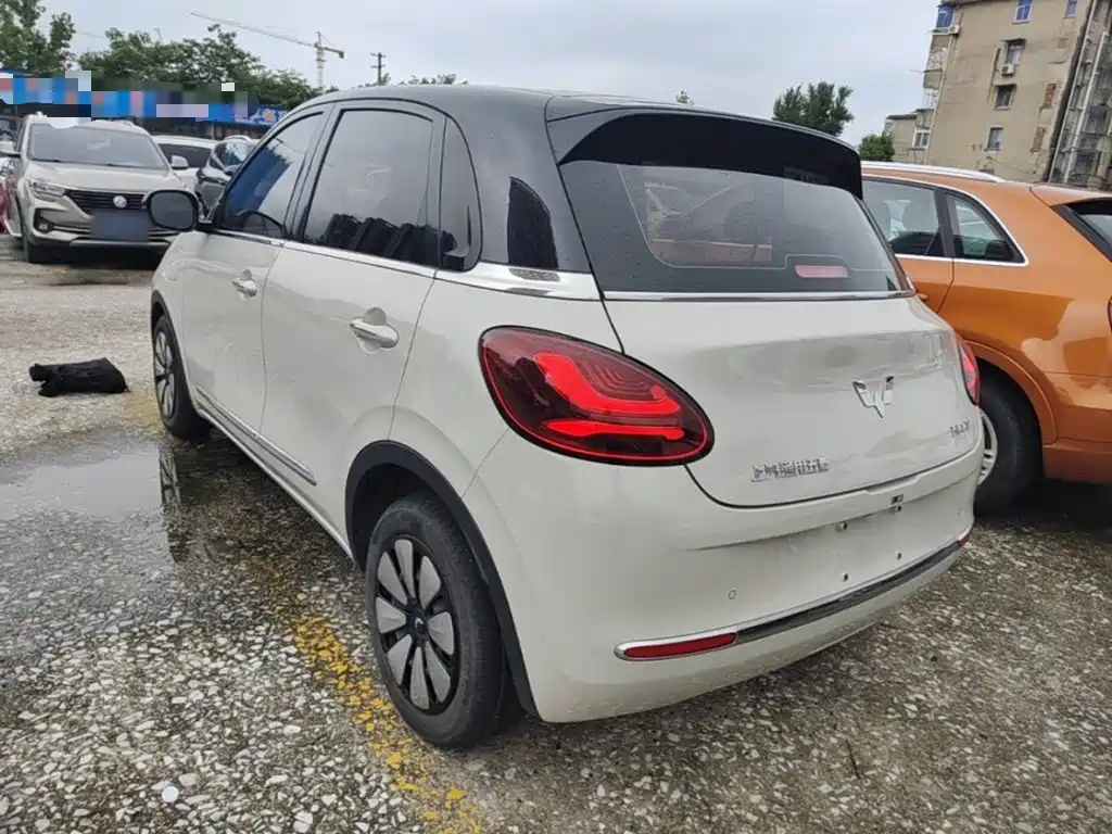 Wuling Bingo 2024