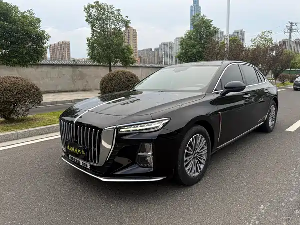Hongqi H5 2024