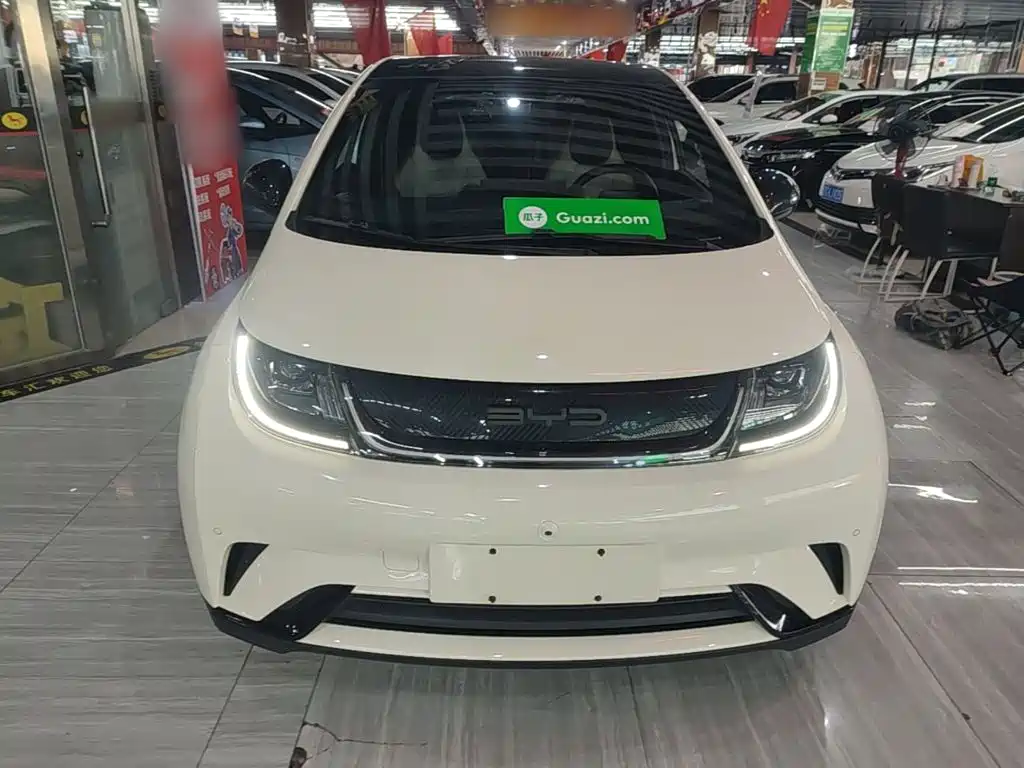 BYD Dolphin 2023