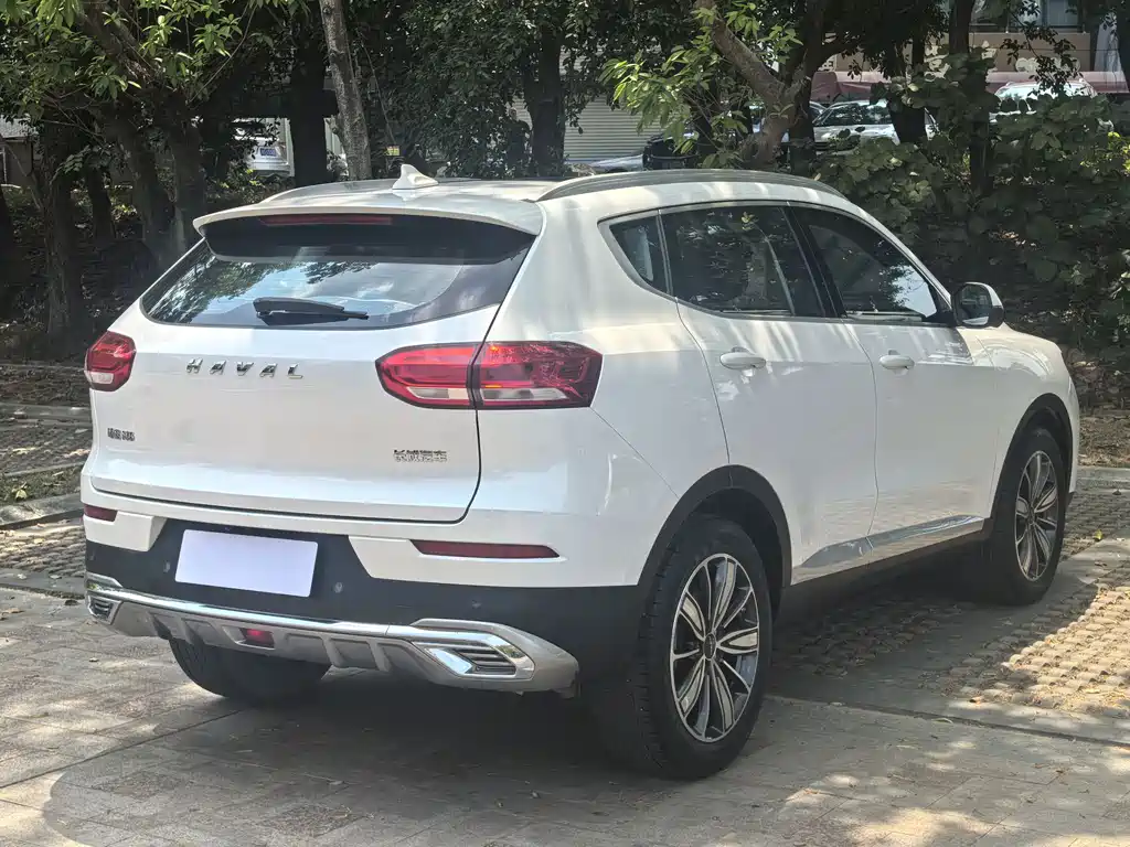 Haval H6 2021 — фото 8