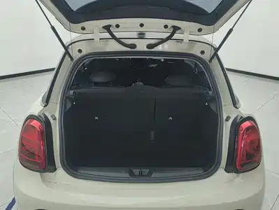 MINI MINI 2022