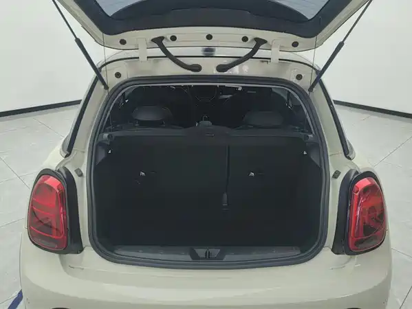 MINI MINI 2022