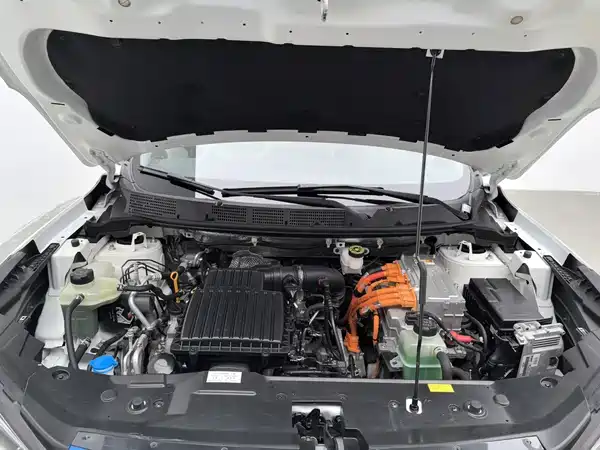 Haima seahorse 6P 2020