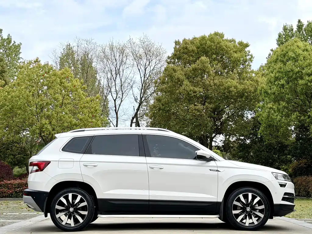 Skoda Karoq 2019 — фото 13