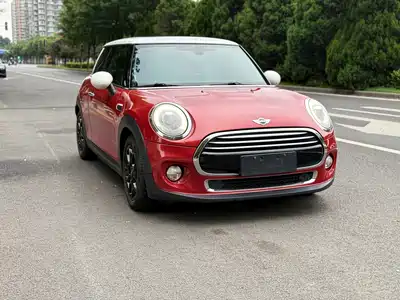 MINI MINI 2015