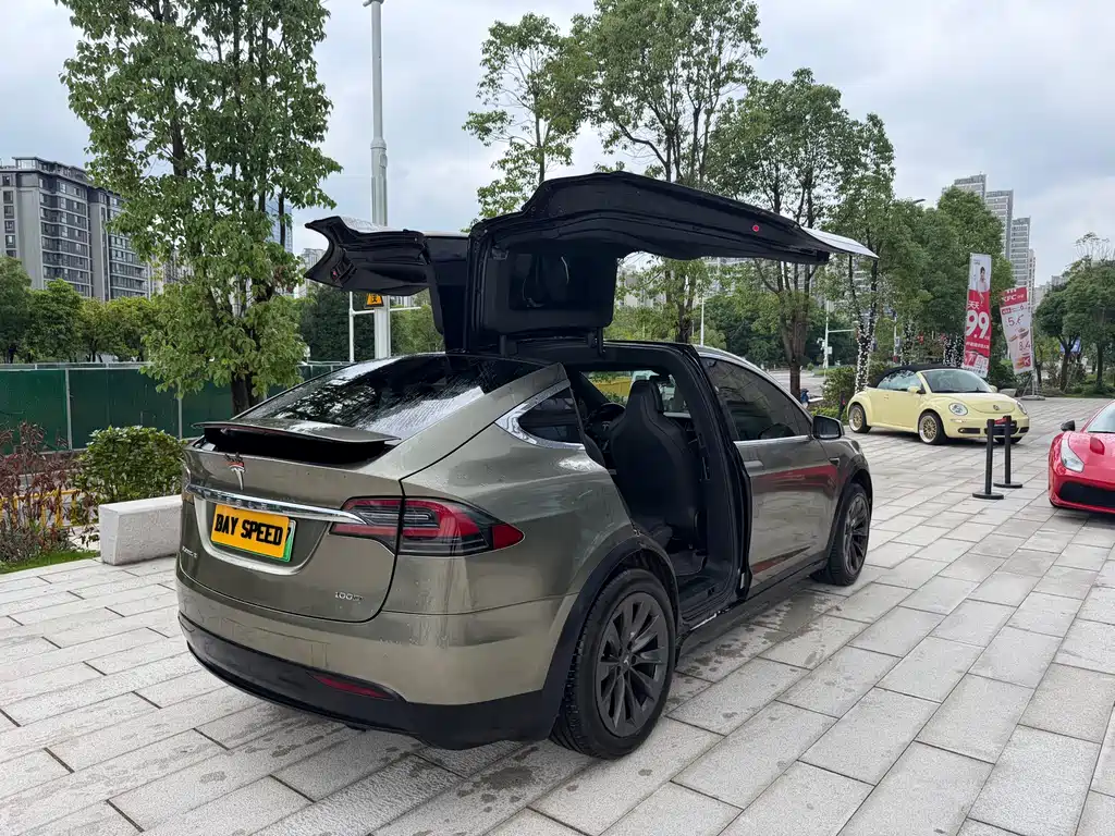 Tesla Model X 2018 — фото 12