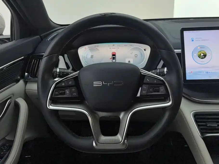 BYD Song PLUS New Energy 2024 — фото 15