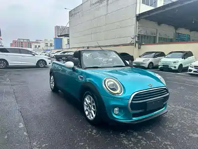 MINI MINI 2018